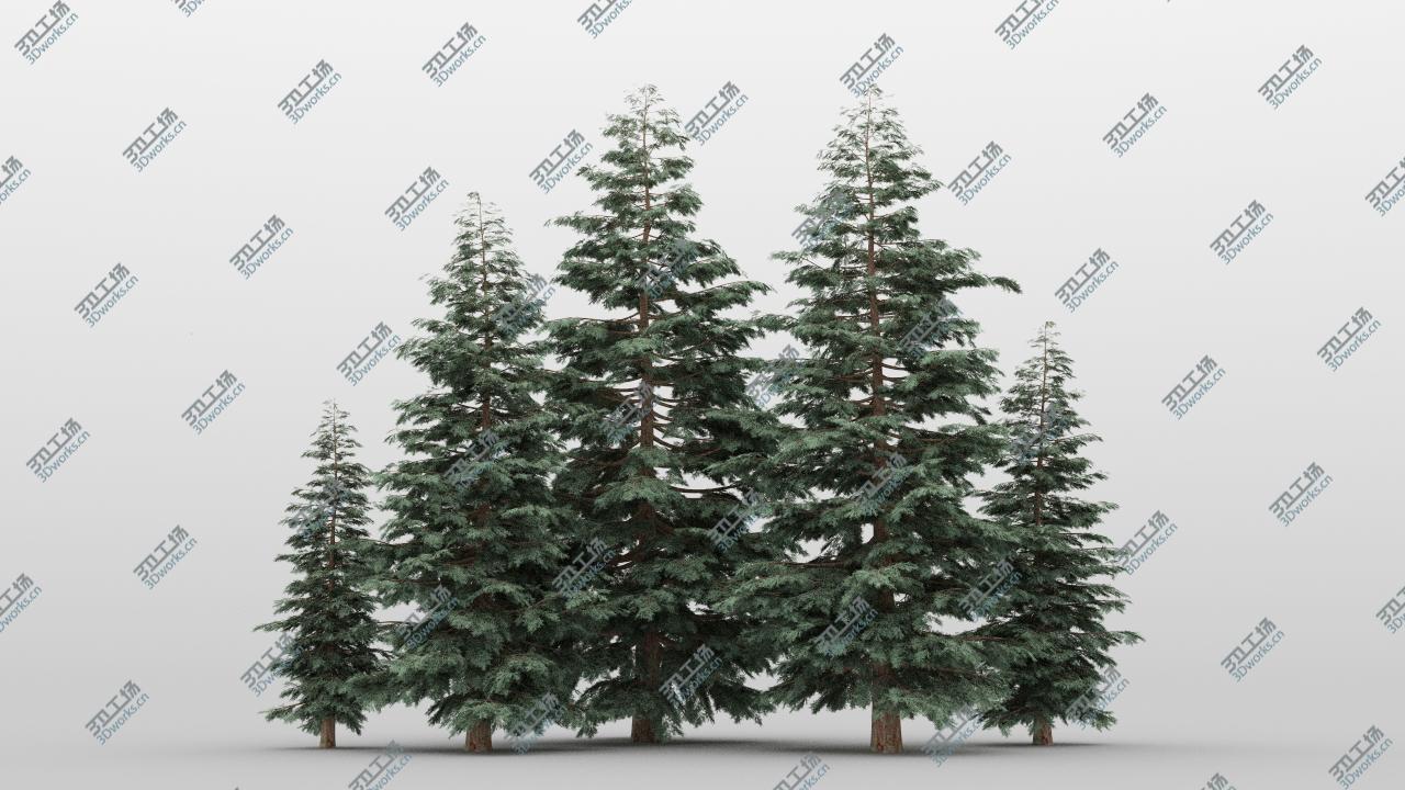 images/goods_img/202104092/3D model 40 Summer Conifer Trees/3.jpg